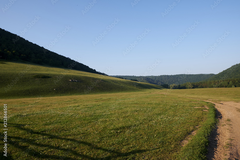 large meadows. pasture