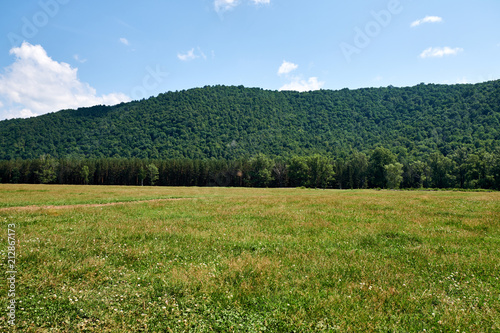 pasture on a clear day