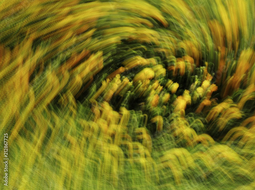Spring blurred flowers. Abstract motion blur effect