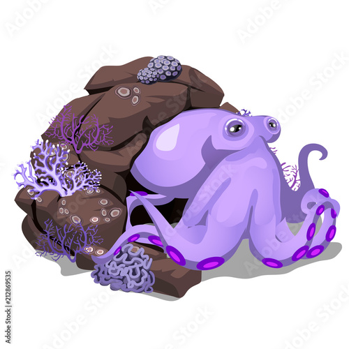 Cartoon purple octopus hiding in the rock grotto. Inhabitants of the seas and oceans isolated on white background. Vector illustration.