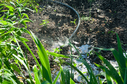 Irrigation system in the garden