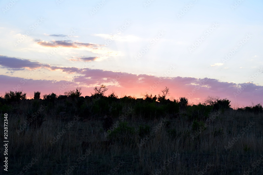 Obraz premium 2015-10 Südafrika