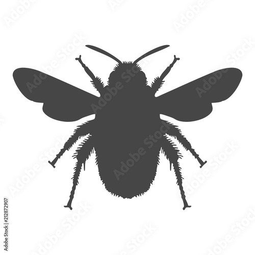 Bumble bee icon logo © sljubisa