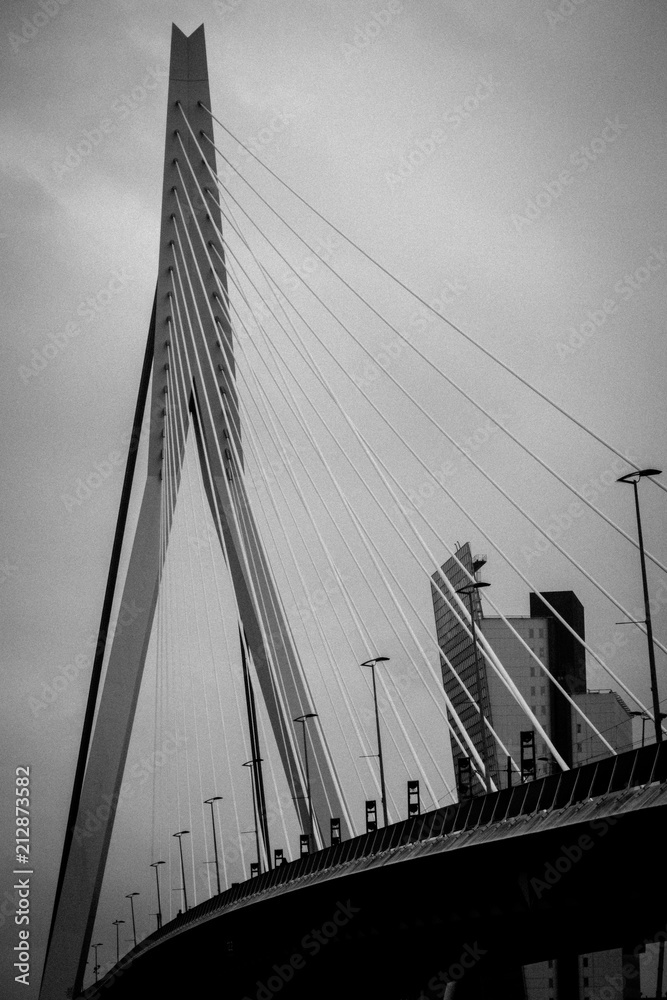 Obraz premium Bridge