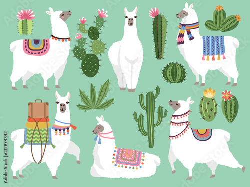 Set illustrations of animals. Llama and alpaca wool