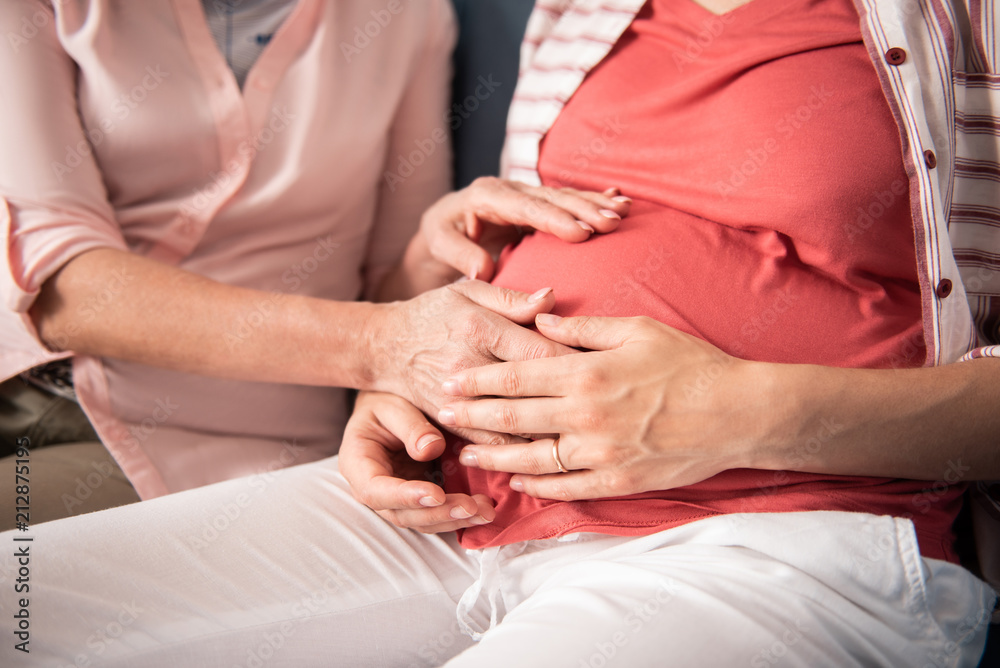 Daughter visit. Pregnant daughter wearing plain pink shirt sitting on sofa while coming to her mother Daughter visit. Pregnant daughter wearing plain pink shirt sitting on sofa while coming to her mother