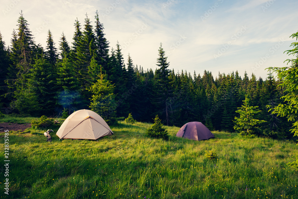 Tents on the green mountain meadow