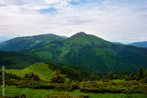 Green mountain covered with lush grass and coniferous forest