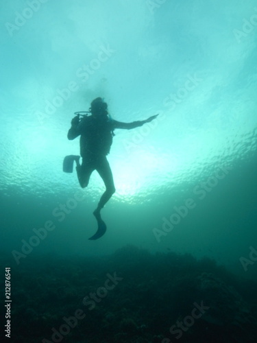 Diver Silhouette under water