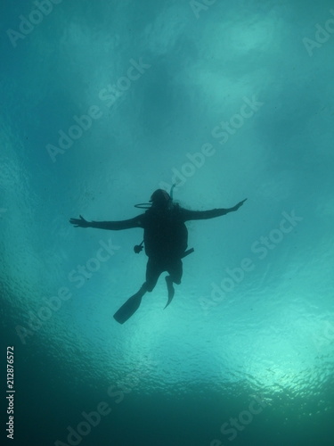 Diver Silhouette under water