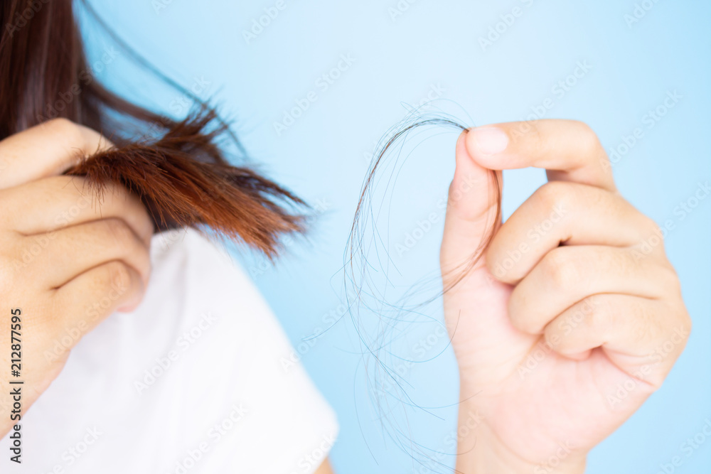Woman's hand holding hair falling from her head in white t-shirt with blue background. Young Asian female age between 25-35 years old - obrazy, fototapety, plakaty 