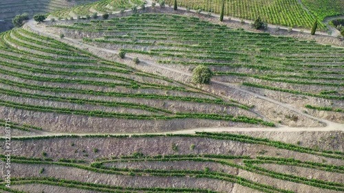 Aerial view of the vineyards of the Duoro Valley wine making region of Portugal photo