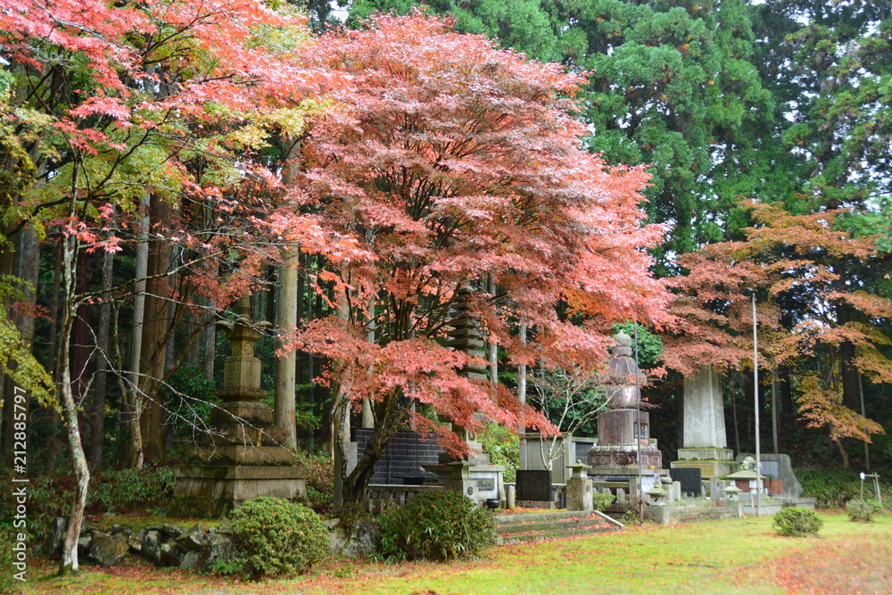 滋賀県大津市の比叡山延暦寺 StockFoto Adobe Stock