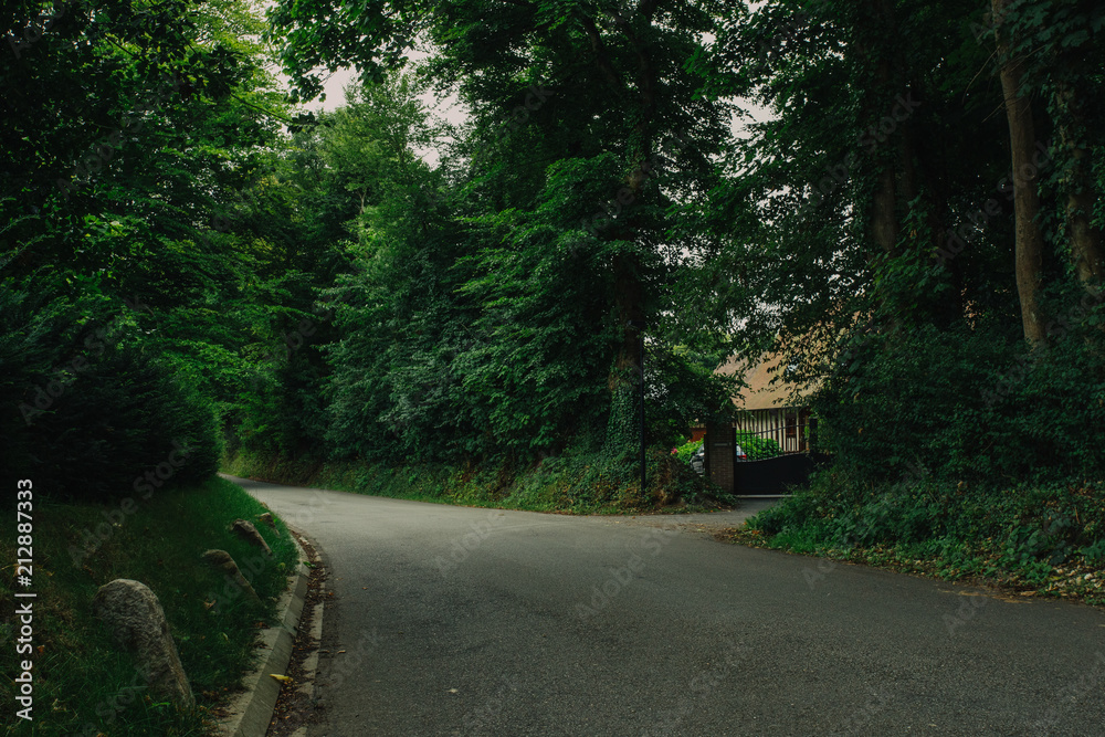 Fototapeta premium Empty asphalt country road passing through green forests and villages. Summer countryside landscape in the region of Normandy, France. Recreation, nature, holidays, travel and road network concept.
