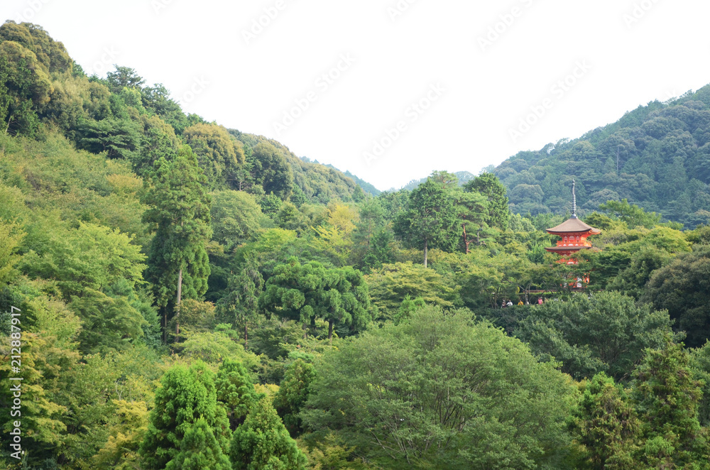 Fototapeta premium A red Kiyomizu-dera Temple surrounded by greenery at Kyoto.