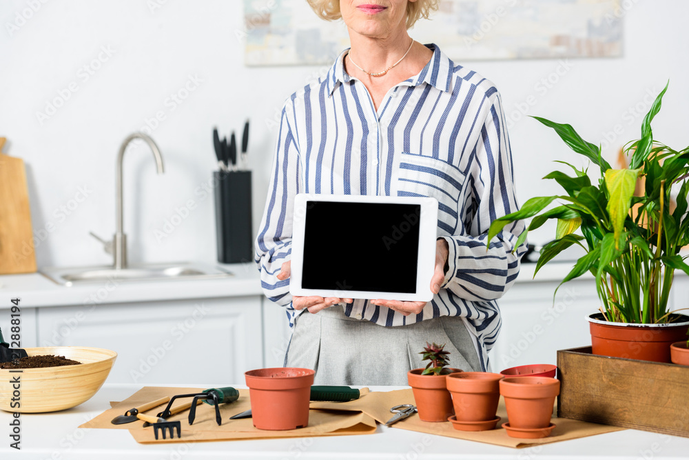 cropped shot of senior woman holding digital tablet with blank screen while cultivating plants at home cropped shot of senior woman holding digital tablet with blank screen while cultivating plants at home