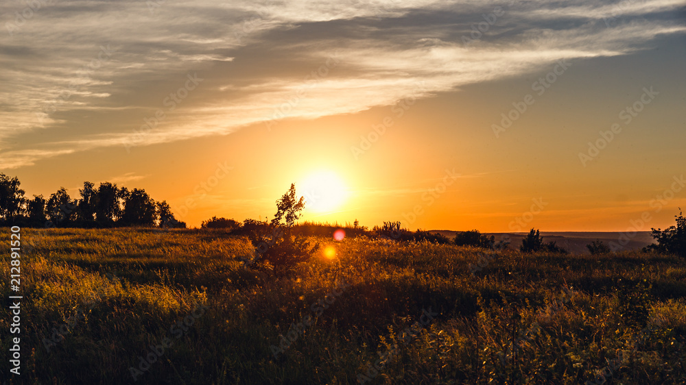 Beautiful summer sunset with waving wild grass in sunlight, rural meadow or field in countryside Beautiful summer sunset with waving wild grass in sunlight, rural meadow or field in countryside