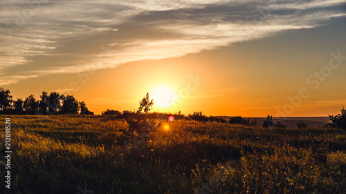 Beautiful summer sunset with waving wild grass in sunlight, rural meadow or field in countryside