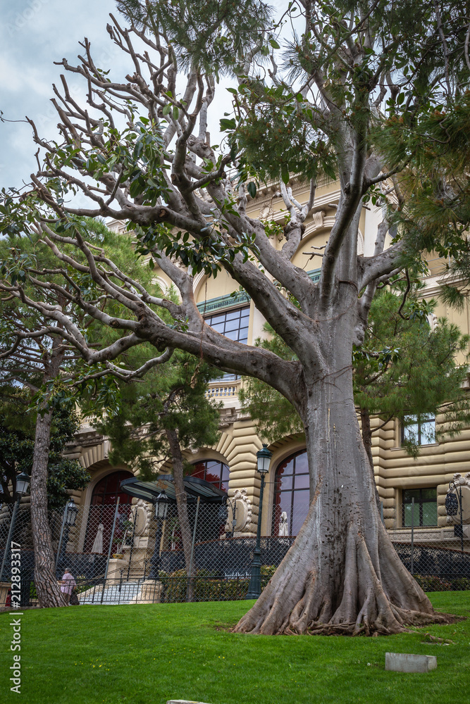 Monte Carlo Casino