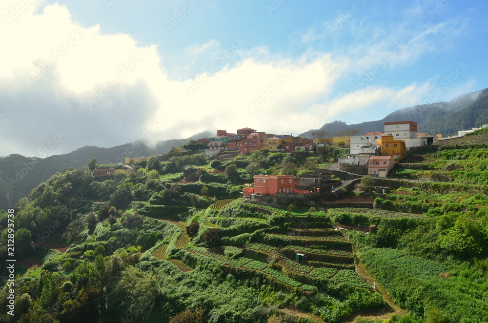 Fototapeta premium 2014-04 Teneriffa