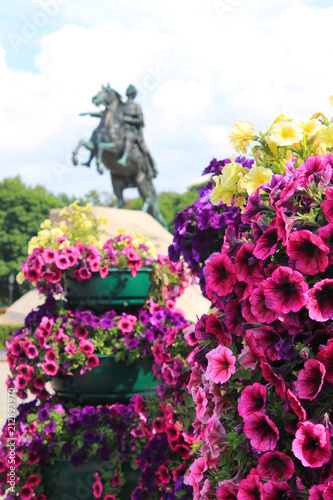 Summer Garden Colorful Flower Pot Close Up and Bronze Horseman Equestrian Statue on Background in St. Petersburg, Russia. Summer Scene with Famous City Landmark on Downtown Square, Selective Focus.