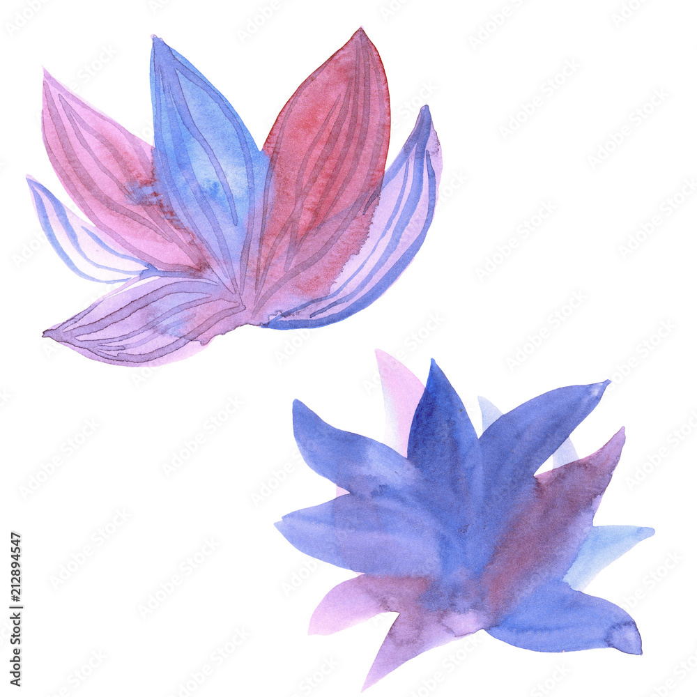 Set of painted succulents isolated on white background. Watercolor illustration Set of painted succulents isolated on white background. Watercolor illustration