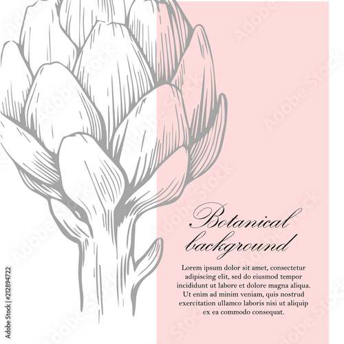Natural background. Organic botanical design template. Hand drawn Vector illustration of artichoke