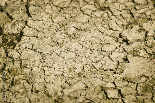 Cracked Soil As Background Or Texture