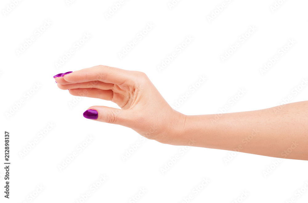 Woman's hands with neat manicure. Isolated on white background. Woman's hands with neat manicure. Isolated on white background.