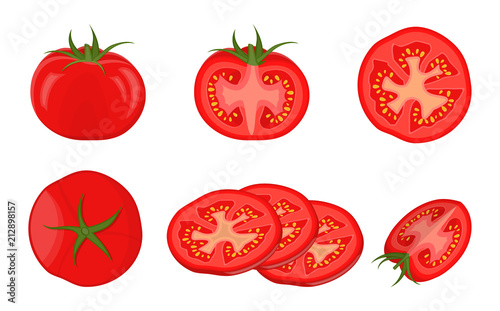 Obraz na plátně Vector illustration.Collection tomatoes on white background.