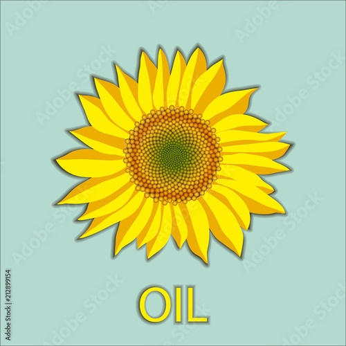 Vector illustration of sunflower flower head top view and oil lettering