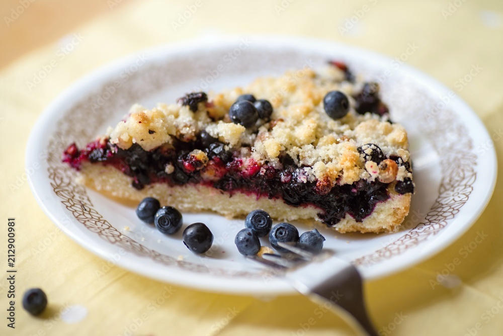 Blueberry homemade cake on plate. Blueberry homemade cake on plate.