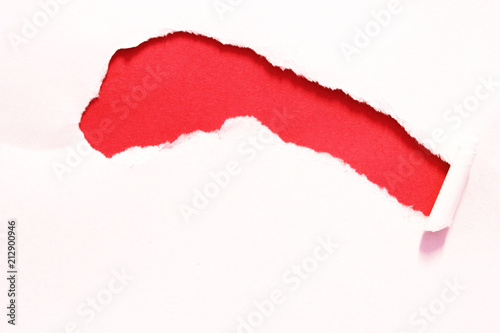 Wallpaper Mural pieces of torn paper texture background, copy space. Torontodigital.ca