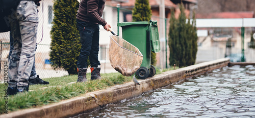 aquaculture catch fish thrown back into the trout farm fishpond photo