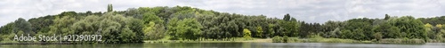 Very high definition Treeline with a colorful blue sky