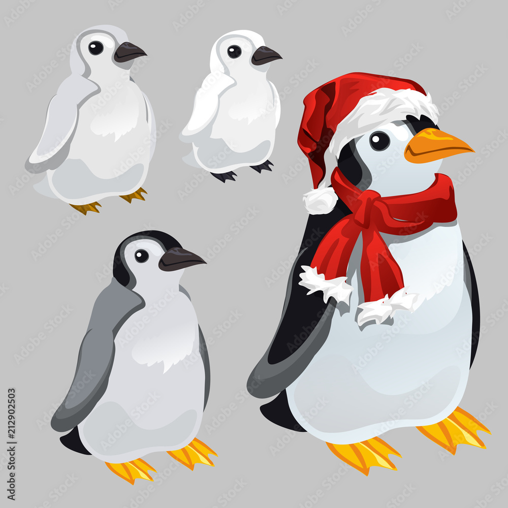 Obraz premium Penguin in red scarf and hat in the style of new year and Christmas isolated on grey background. Vector cartoon close-up illustration.