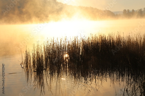 Fototapeta Naklejka Na Ścianę i Meble -  Sunrise over misty lake