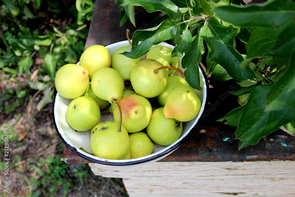 fruit, food, green, apple, fresh, healthy, apples, ripe, isolated, grapes, agriculture, diet, delicious, red, organic, sweet, basket, white, nature, health, fruits, harvest, freshness, autumn, nutriti