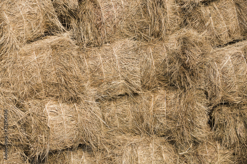 Full frame shot of hay