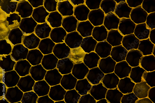 Closeup view of the working bees on honeycomb  Honey cells pattern  BeekeepingHoneycomb texture.