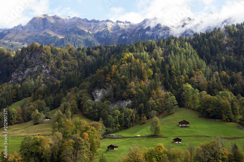 Mountain, Forest and Village in Lauterbrunnen, Switzerland