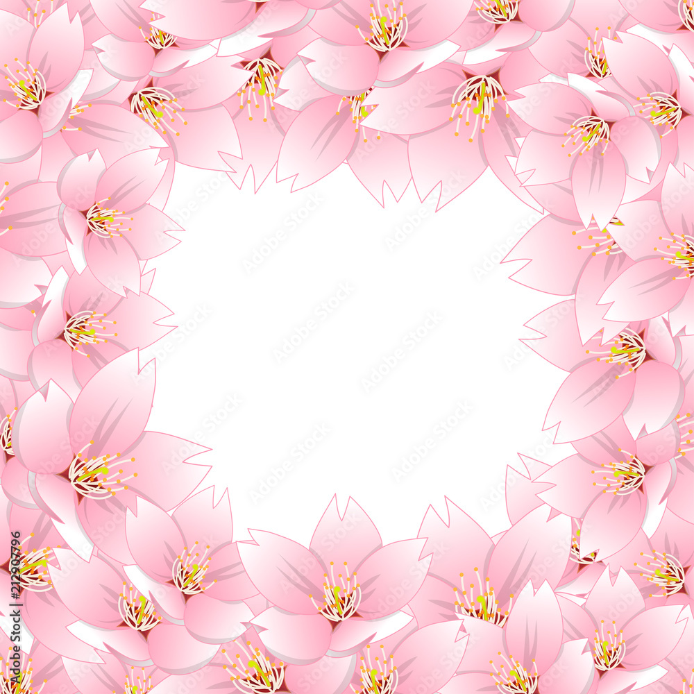 Fototapeta premium Sakura Cherry Blossom Border
