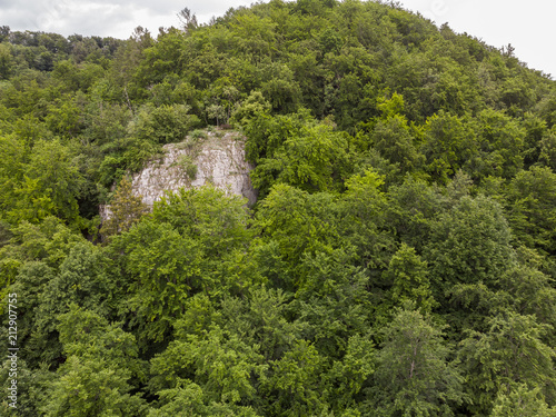 Fels, der aus dem Wald ragt - Luftaufnahme