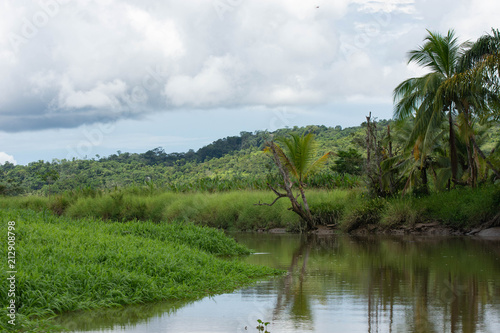 Sierpe River