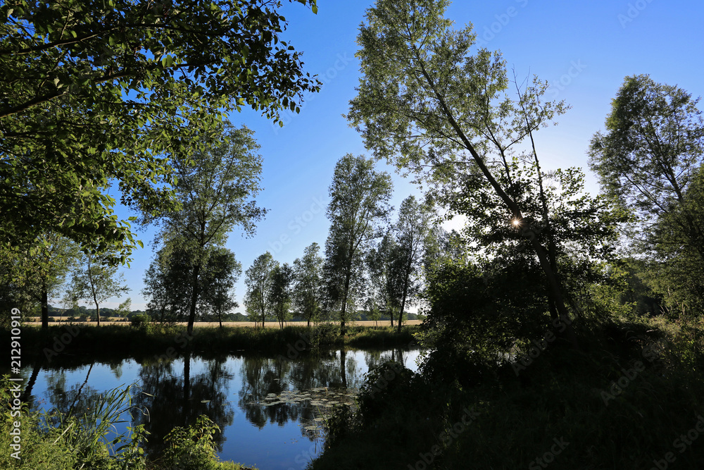 Obraz premium Reflections