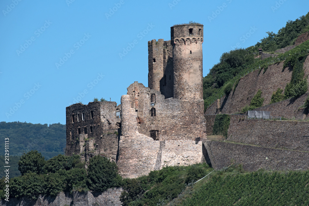 Ehrenfels castle ruins on the Rhine near Rüdesheim opposite Bingen on the Rhine river, Hesse, Germany