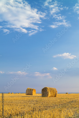 summer sky above wheat rolls on the field
