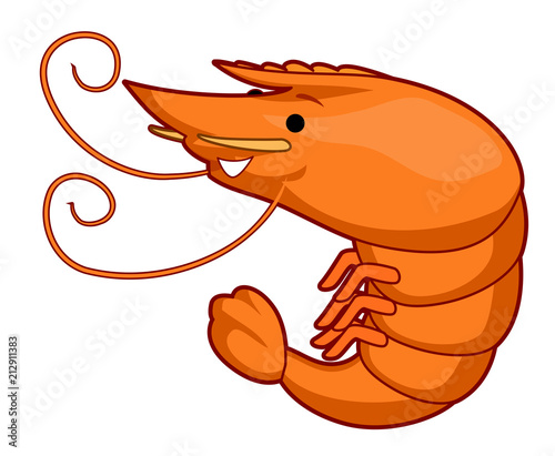 Shrimp Illustration