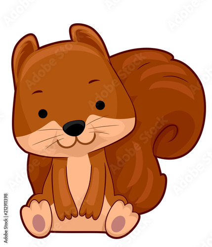 Squirrel Illustration
