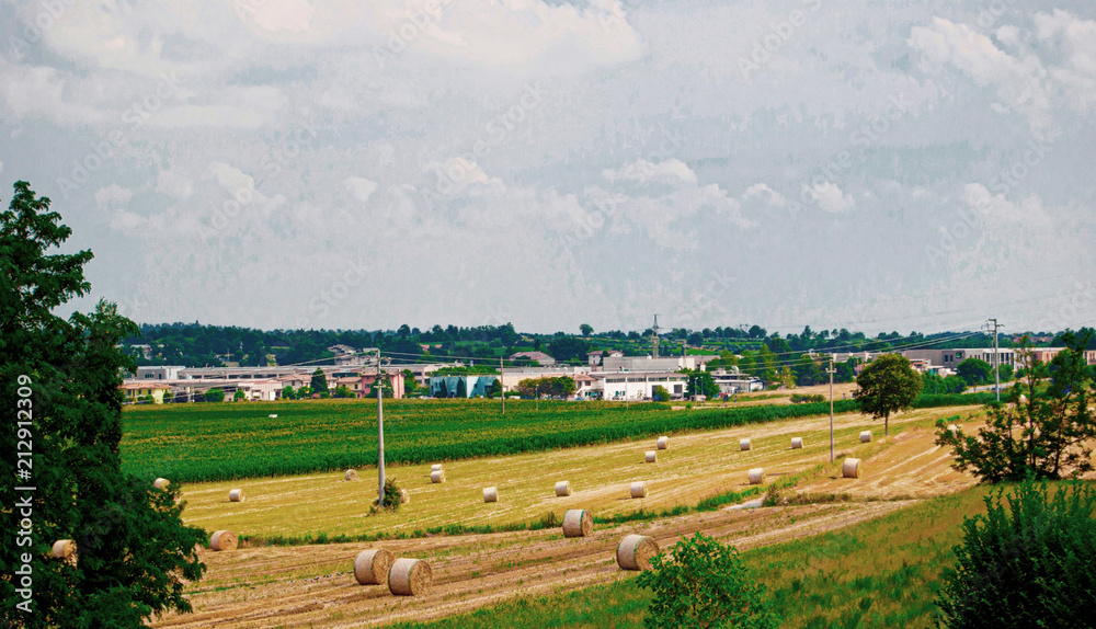 Panorama agricolo, Balle di fieno.